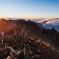 Bono Turístico La Palma