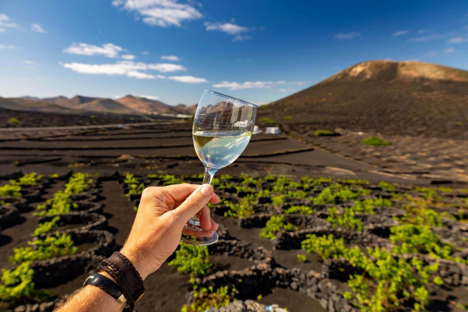 La Geria. Lanzarote.