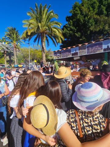 20240803Romería Ofrenda - Fiestas de San Lorenzo