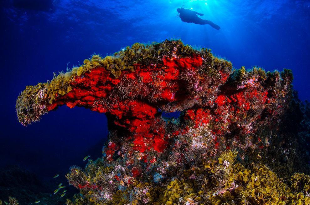 El Hierro. Mar de las Calmas