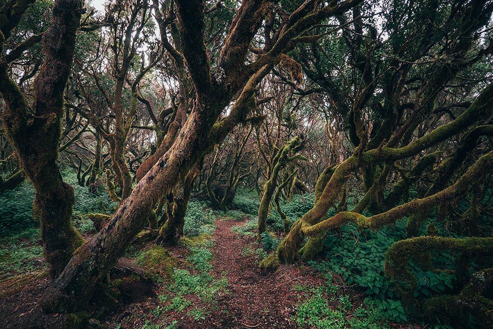 Mencafete El Hierro