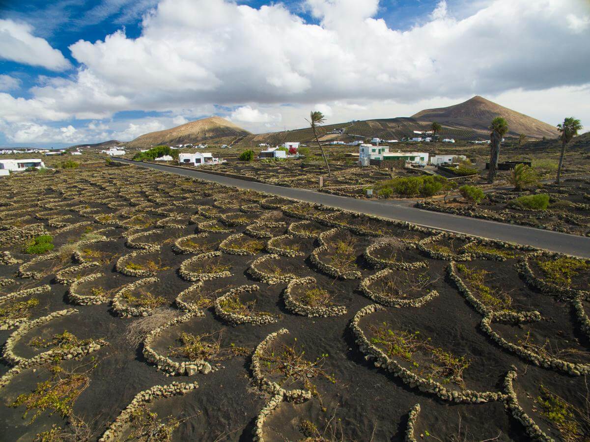 Lanzarote. La Geria Bodegas Martinon