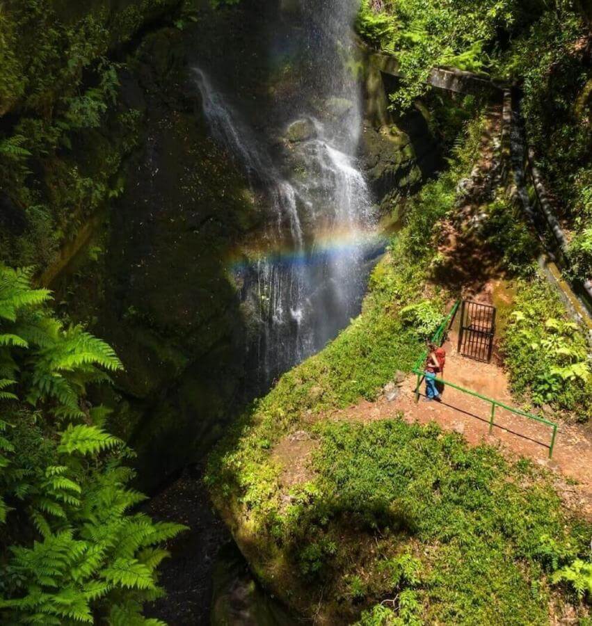 Cascada de Los Tilos. La Palma.